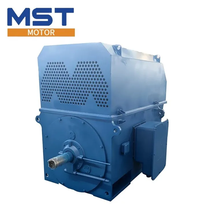 medium voltage motors