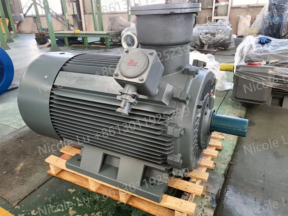 Explosion Proof Ac Motor