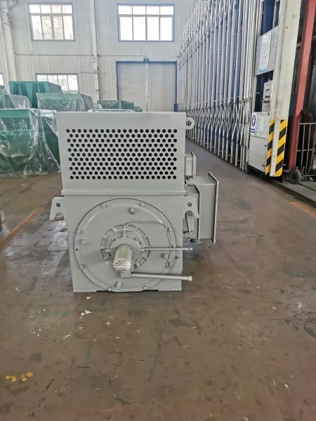 High Voltage Squirrel Cage Motor