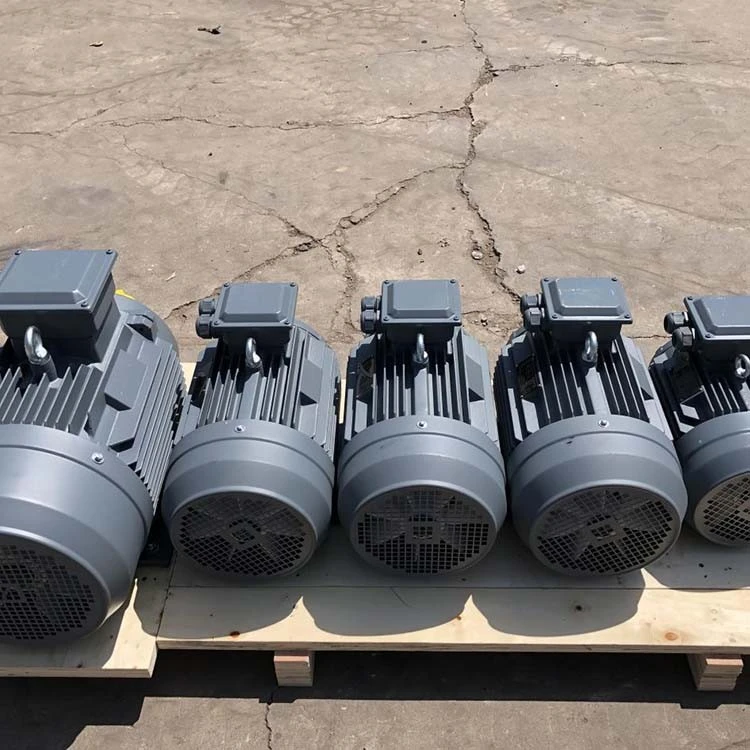 Permanent Magnet Synchronous Motors factory