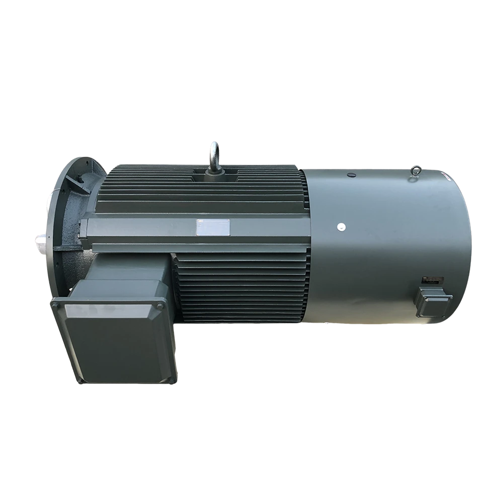 Variable Frequency Electric Motor